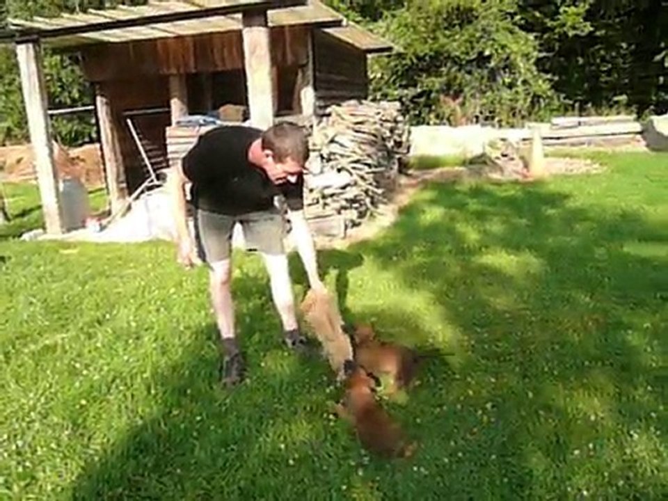 Fidji & ses soeurs 1