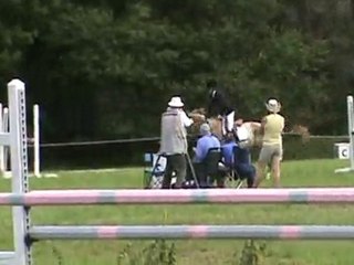 Jumper tandalee-premier préliminaire-sans faute