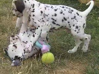 La salle de jeux des petits d'Ally