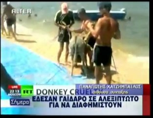 pagritianews.gr- Έδεσαν γάιδαρο σε αλεξίπτωτο