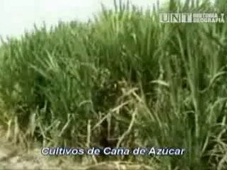 Laredo aspecto geografico