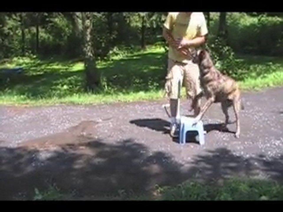 Cody doing a 10 part chain