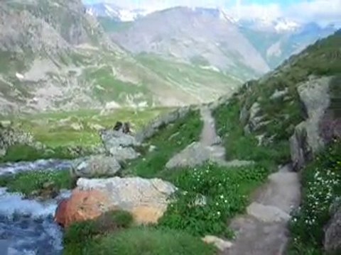 torrent près de Valloire Alpes