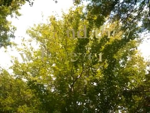 Seers of Light Trailer