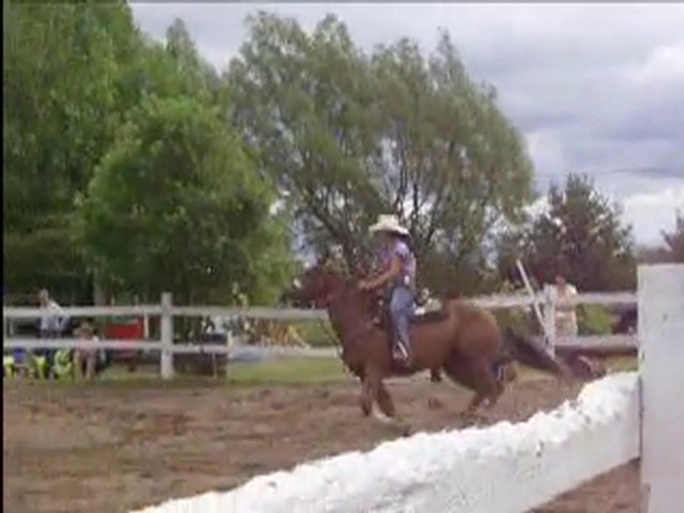 Mon cheval à vendre