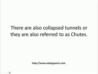 Select the Right Dog Agility Tunnel for Your Dog