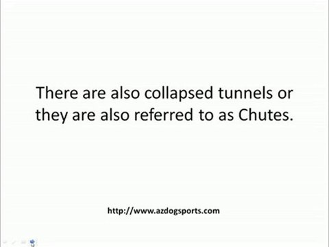 Select the Right Dog Agility Tunnel for Your Dog