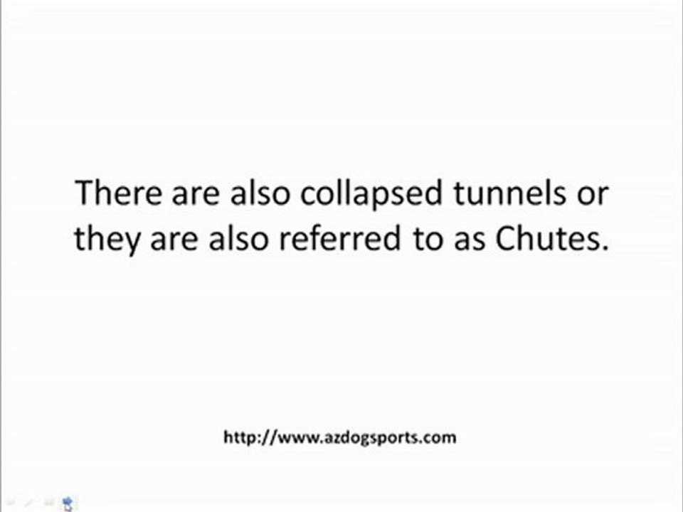 Select the Right Dog Agility Tunnel for Your Dog