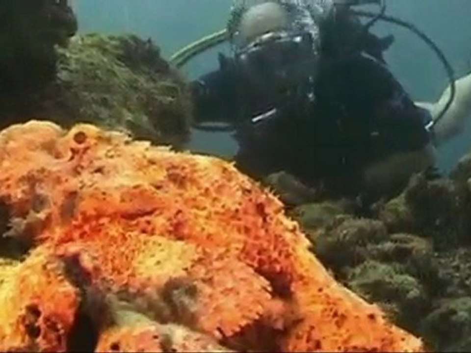 7.- BEAUTIFUL AND DANGEROUS-HD-MP4