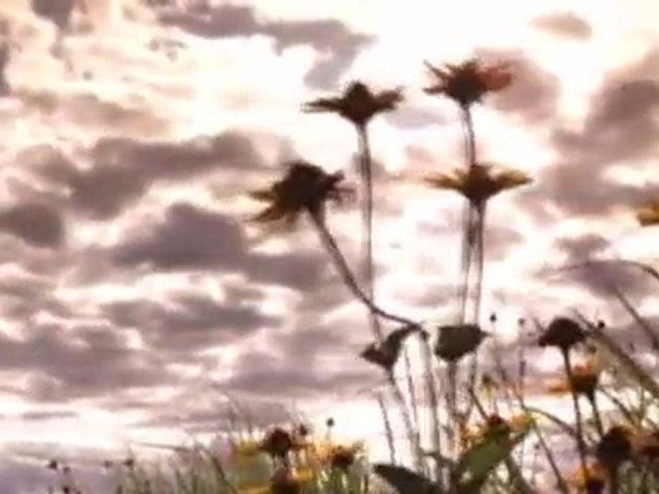 Mircea Rusu - lacrima de dor