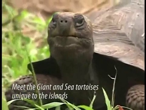 Galapagos Islands Vacations | Galapagos Islands Cruise