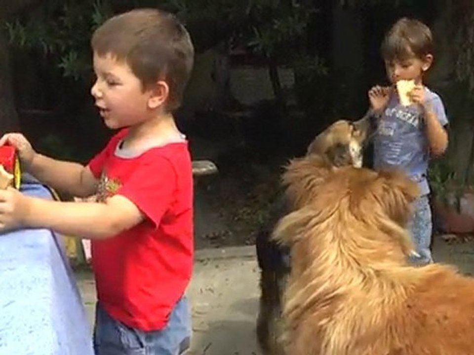 LES PITCHOUS CHEZ MAMIE 22. 7.2010 Part.1