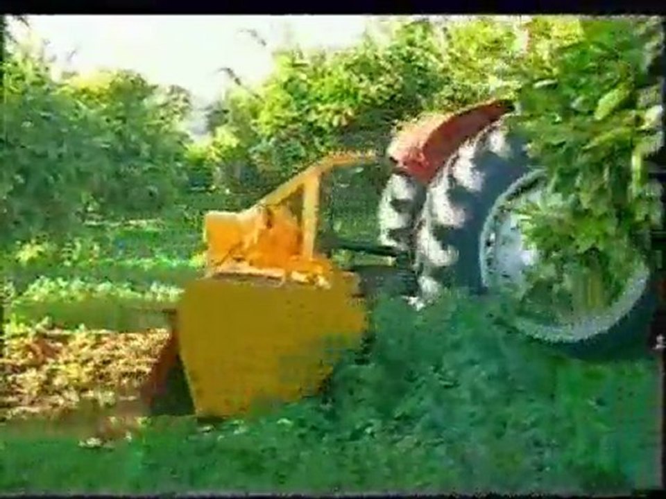 ROTOVATOR AĞAÇ ALTI PROFESYONEL