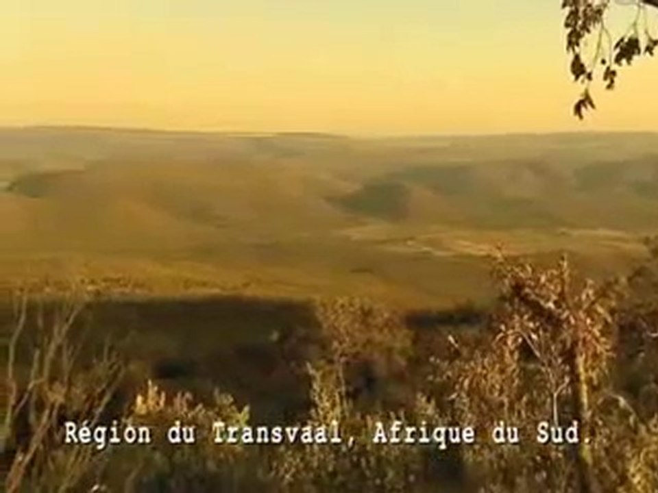 Écologie: Communication des Plantes p1