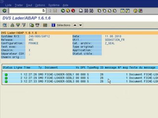 SAP DMS LA MIGRATION DE FICHIERS