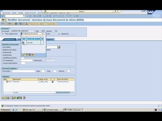 SAP DMS LA CONVERSION DE FICHIERS
