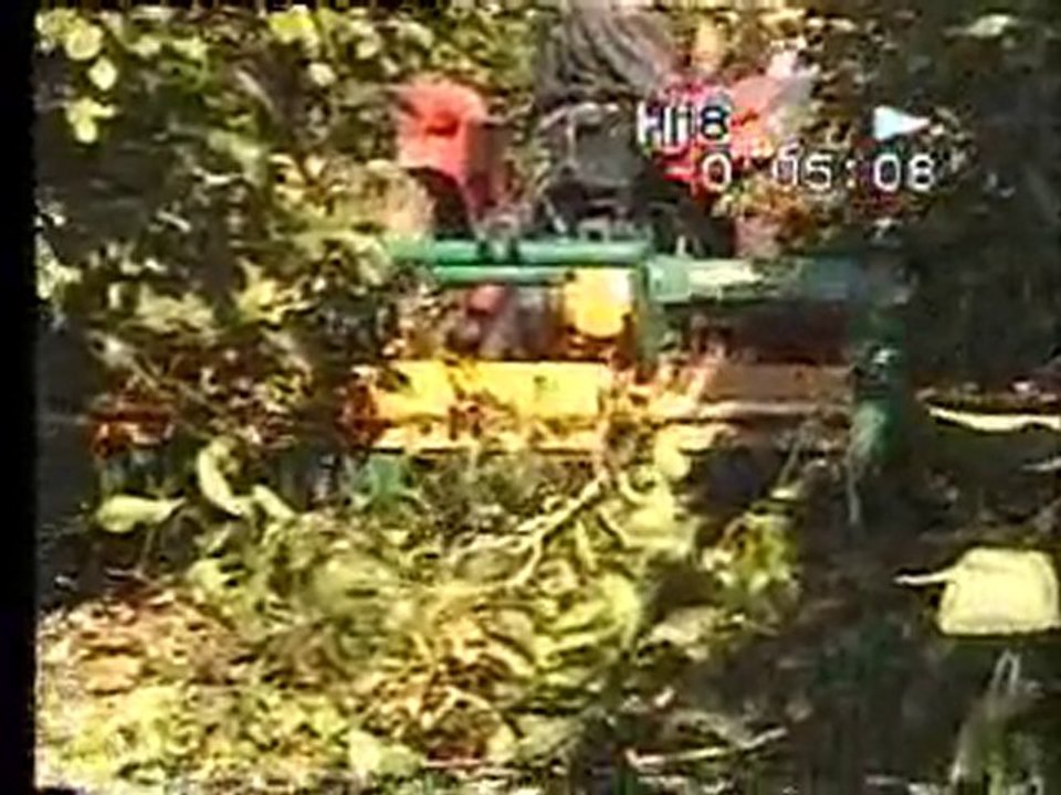 SAP PARÇALAMA TARLA TİPİ