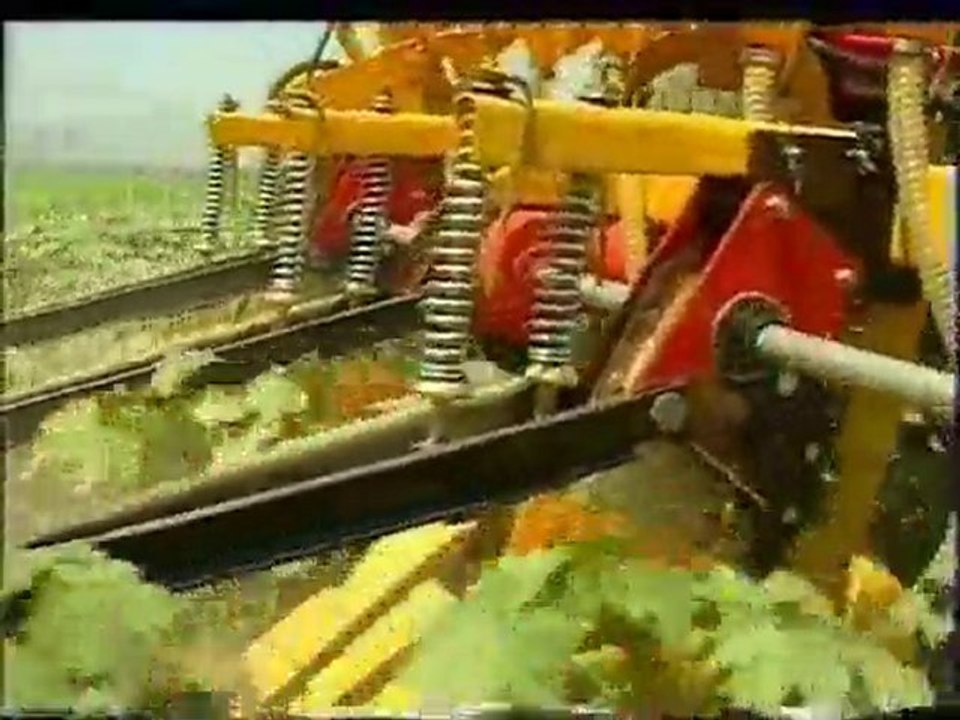 SIRA ARASI 3LÜ ÇAPA MAKİNASI KOMBİNE T2