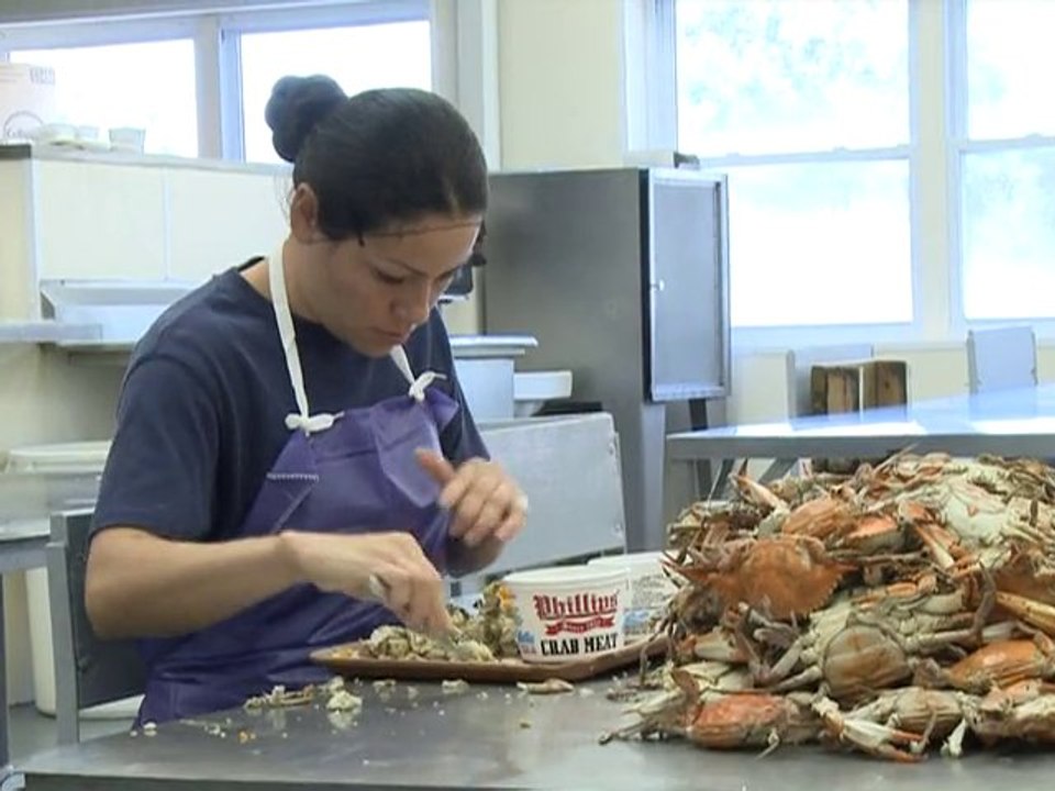 Travailleurs immigrés temporaires: solution ou exploitation?