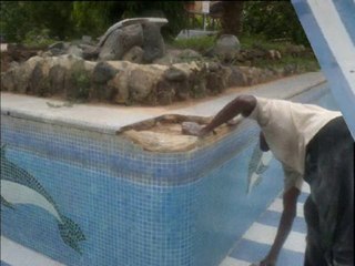 Travaux 2010 Plein Sud 2