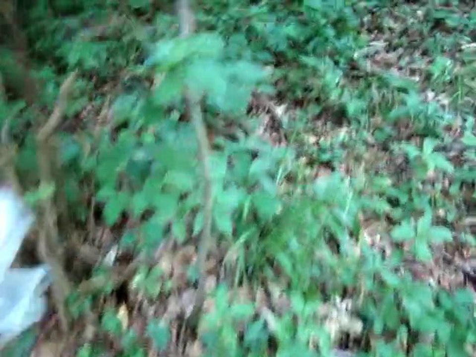 JEU RANDO TRESOR N°6