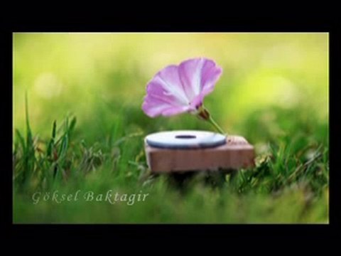 Masum Aşk - Göksel Baktagir