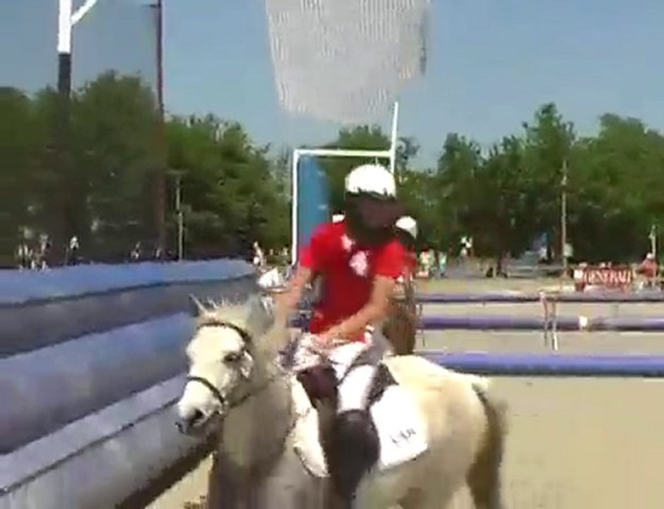 Horse Ball Lamotte 2010