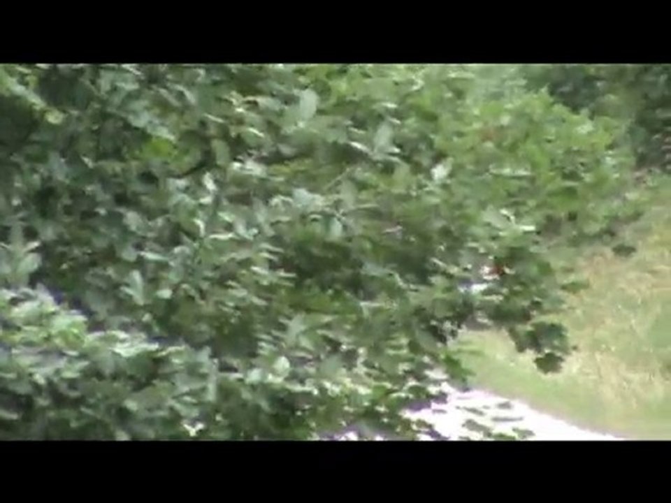 Rallye de la Drome "Paul Friedman" en CLIO R3 !!!