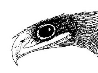 j'suis completement bourré