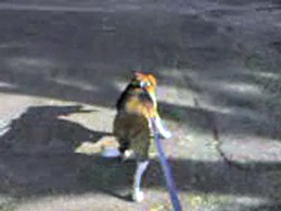 Vidéo 0014