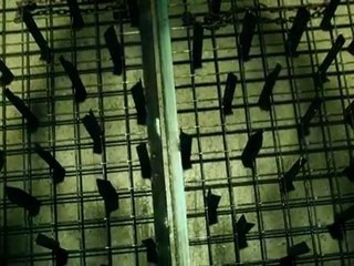 'Saw 3D' Teaser Trailer / Bande-annonce HQ [VO]