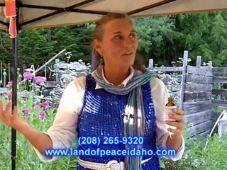 Organic healing blended oils