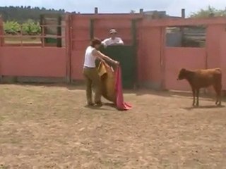 (Despedidas de soltero) en Logroño. Capea Logroño.