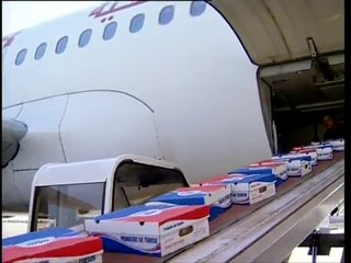 Tunisie : une agriculture amie de l'environnement