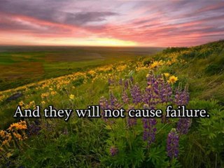 Verses from holy book - Letters to God Bible