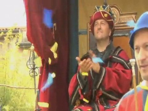 Roi de l'oiseau - Puy-en-Velay