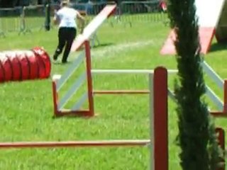 aldo agility miramas