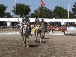 Carrousel des peintres - Coupe D - Lamotte 2010