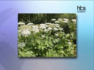 76 Emisja Piatek 23.07.2010 cz 1