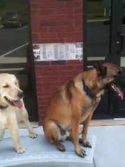 Sit Means Sit North Metro