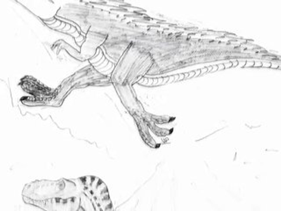 LE MONDE DE DINOSAURIA