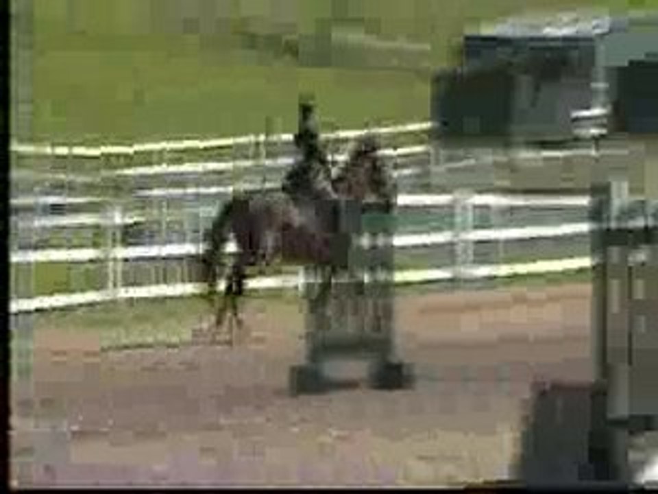 Opie Hunter over Fences 2'