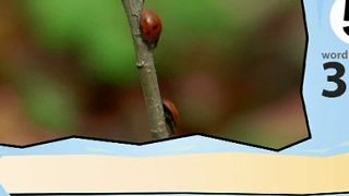 Learn Spanish-Learn with Spanish Insects video
