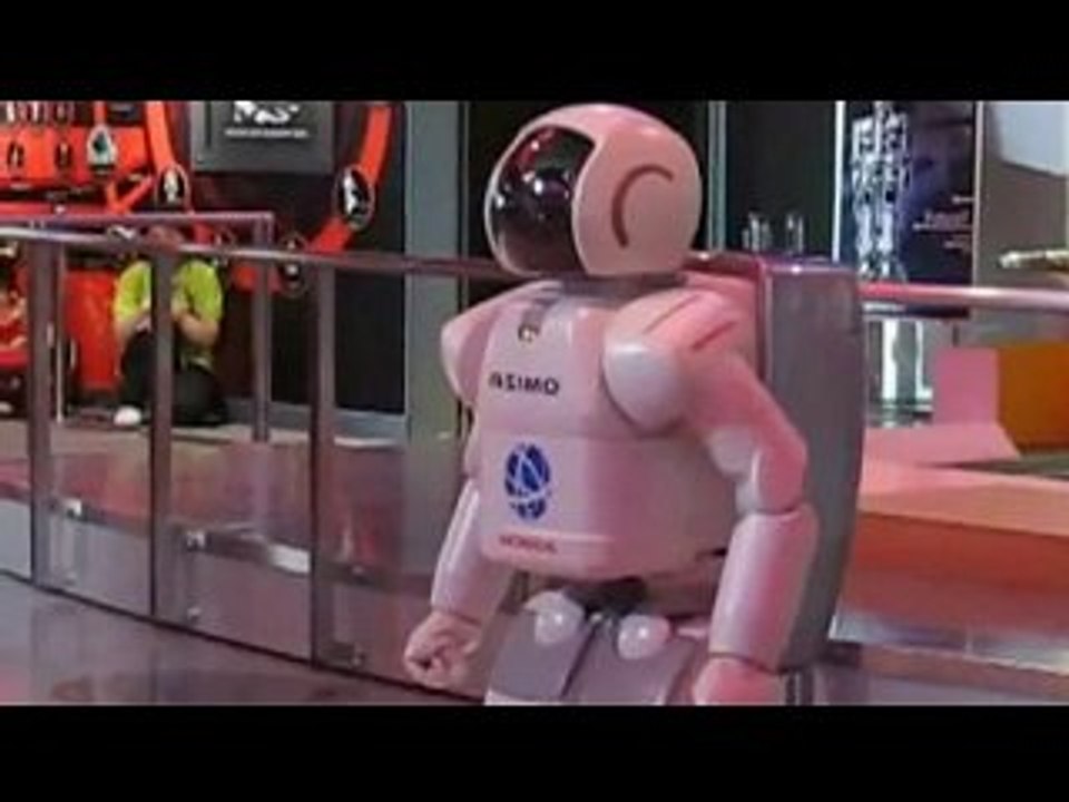 Connection Programa 81