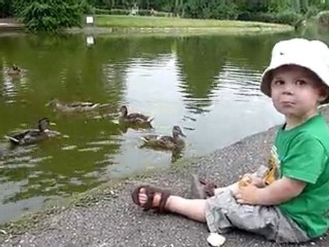 noé nourrit les canards à nanterre