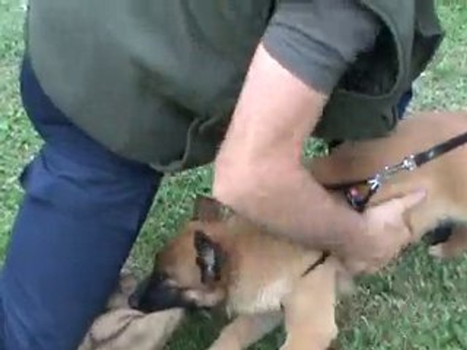 20100729174211