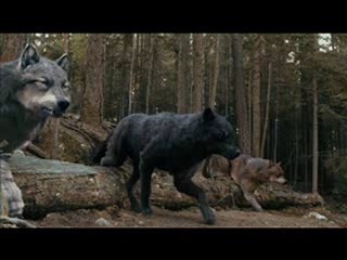 The Twilight  Saga Eclipse part 1 of 14 full movie stream-3