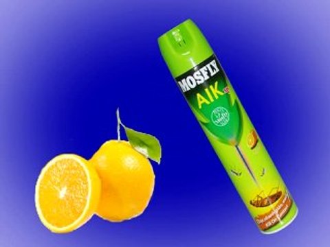 muoi, kien, gian, con trung, binh xit muoi, nhanh muoi