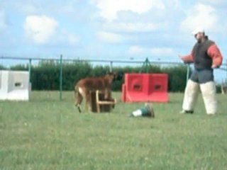 Garde d'objet par Dickson .a 24 mois