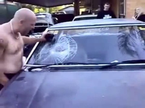 Regis Carglass ® mozinor 2010